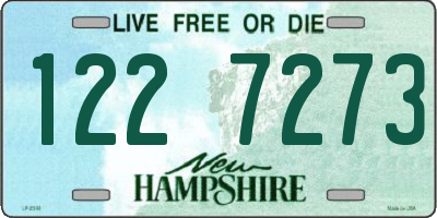 NH license plate 1227273