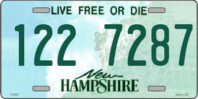 NH license plate 1227287