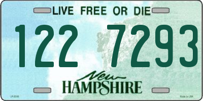 NH license plate 1227293
