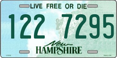 NH license plate 1227295