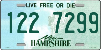 NH license plate 1227299