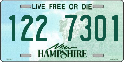 NH license plate 1227301