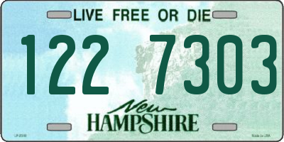 NH license plate 1227303