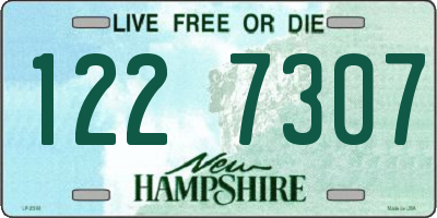 NH license plate 1227307