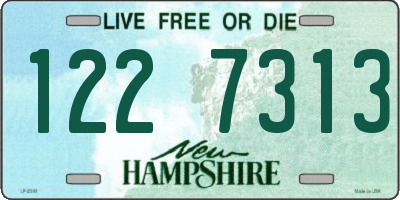 NH license plate 1227313