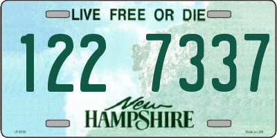 NH license plate 1227337