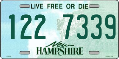 NH license plate 1227339