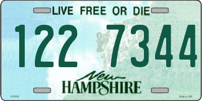 NH license plate 1227344