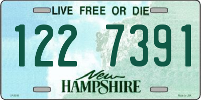 NH license plate 1227391