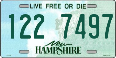NH license plate 1227497