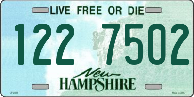NH license plate 1227502