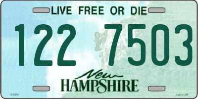NH license plate 1227503