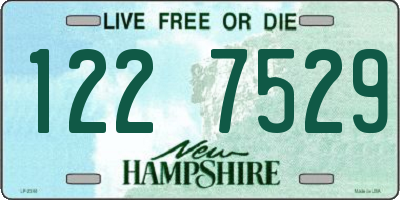 NH license plate 1227529
