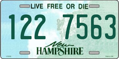 NH license plate 1227563