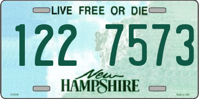 NH license plate 1227573