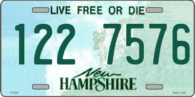 NH license plate 1227576