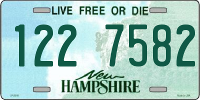 NH license plate 1227582