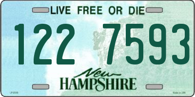 NH license plate 1227593