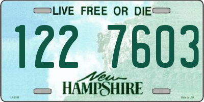 NH license plate 1227603