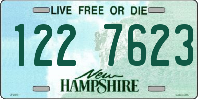 NH license plate 1227623
