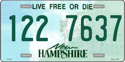 NH license plate 1227637