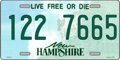 NH license plate 1227665
