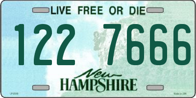 NH license plate 1227666