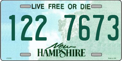 NH license plate 1227673