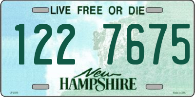 NH license plate 1227675