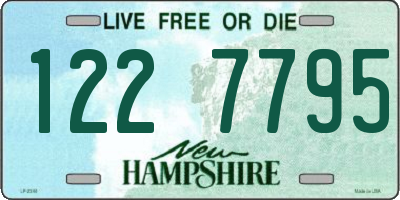 NH license plate 1227795