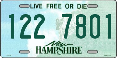NH license plate 1227801