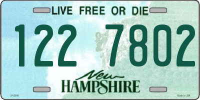 NH license plate 1227802