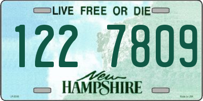 NH license plate 1227809
