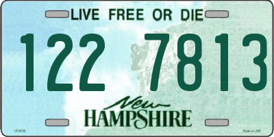NH license plate 1227813
