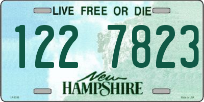 NH license plate 1227823