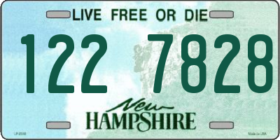 NH license plate 1227828