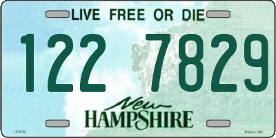 NH license plate 1227829