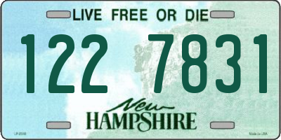 NH license plate 1227831