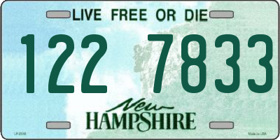 NH license plate 1227833