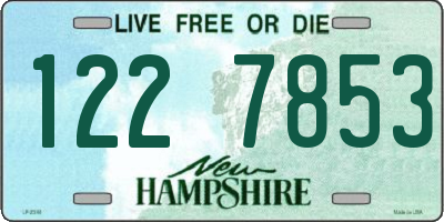 NH license plate 1227853