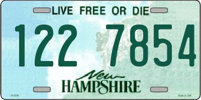 NH license plate 1227854