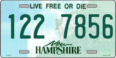 NH license plate 1227856