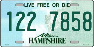 NH license plate 1227858