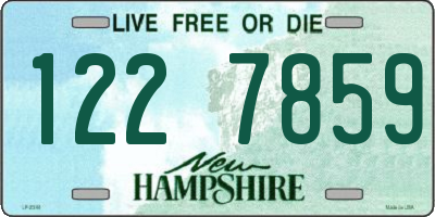 NH license plate 1227859