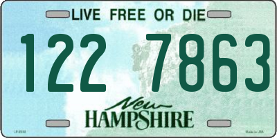 NH license plate 1227863