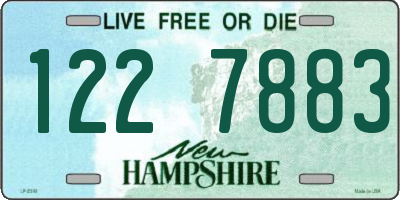 NH license plate 1227883