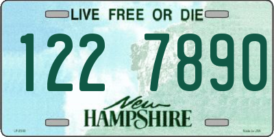 NH license plate 1227890