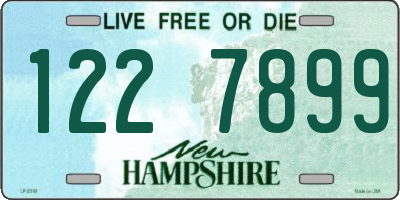 NH license plate 1227899
