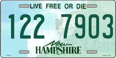 NH license plate 1227903
