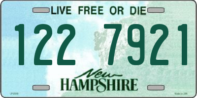 NH license plate 1227921